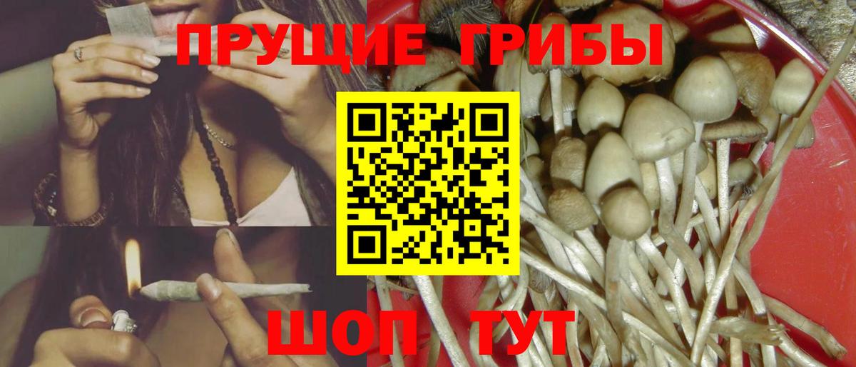 Галлюциногенные грибы Magic Shrooms  Вход с VPN  Ливны 